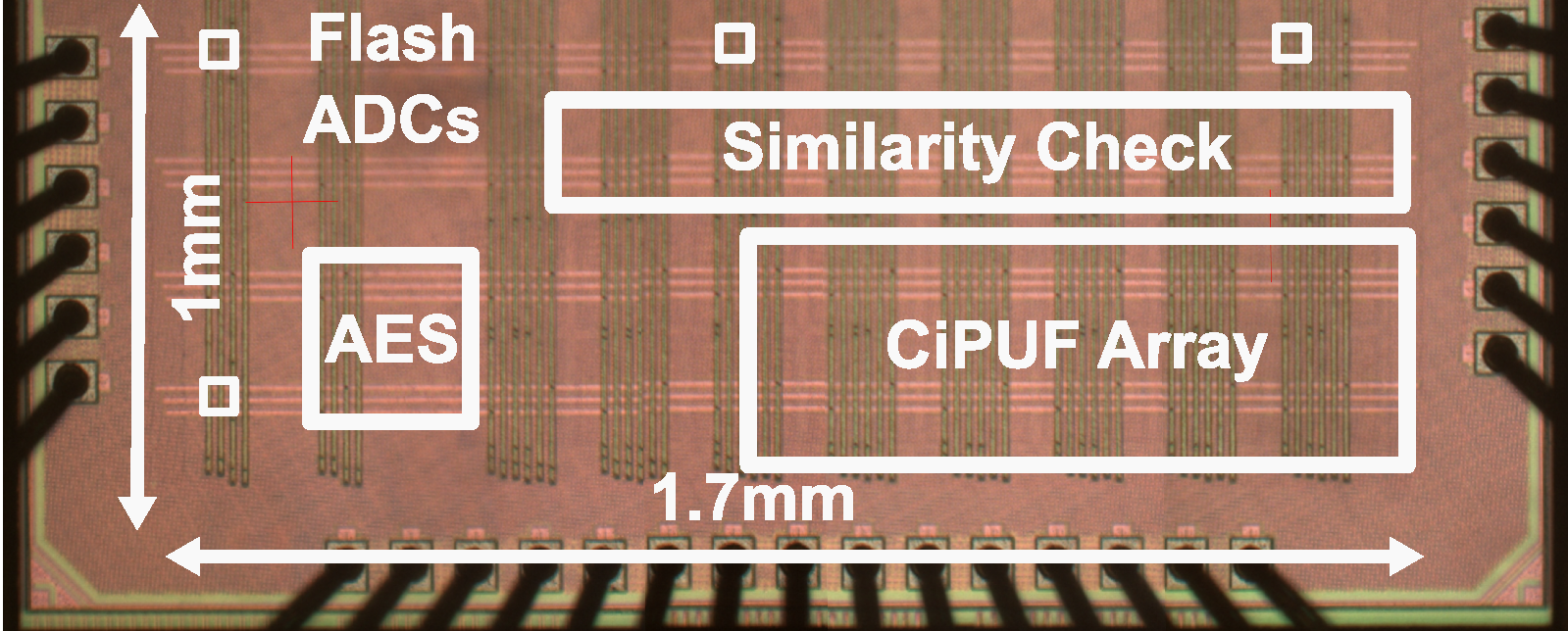 chip logo
